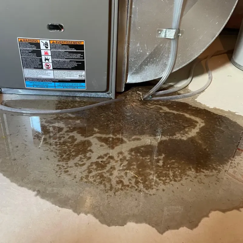 Appliance Leak Cleanup in Birch Run, MI